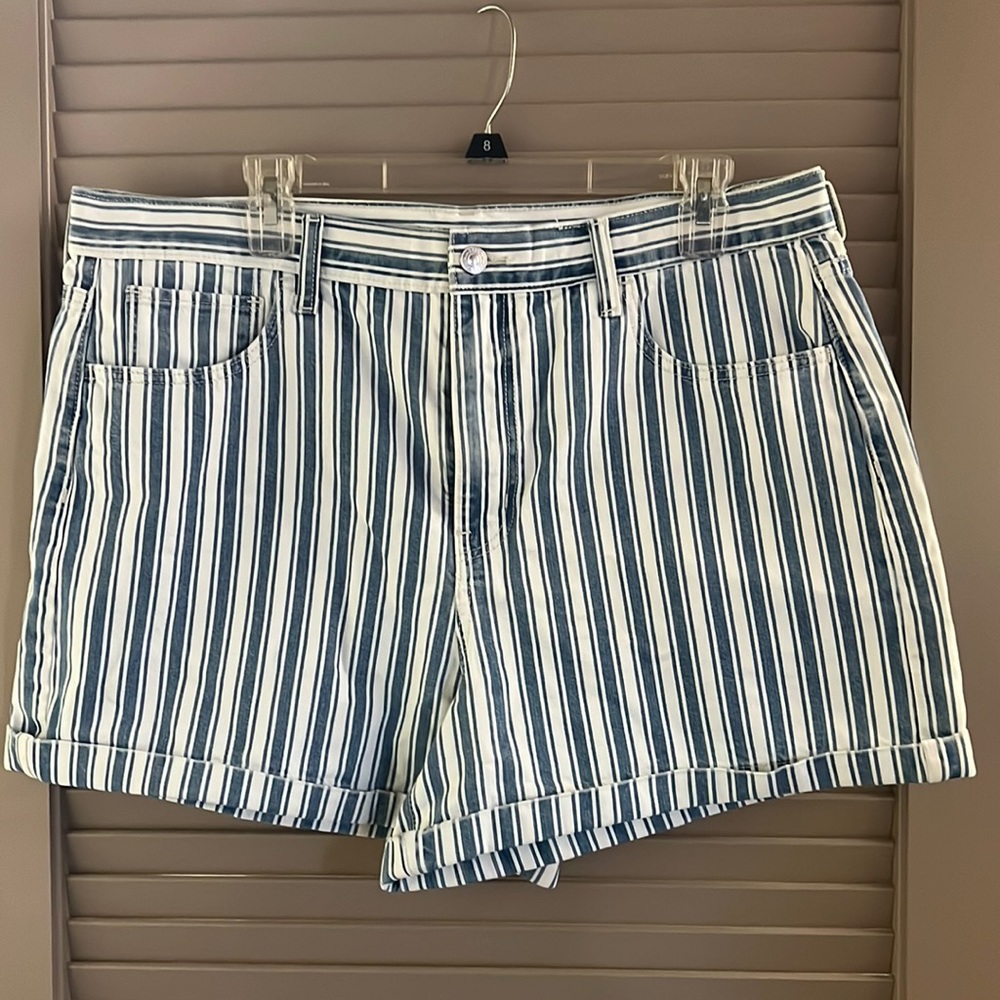 Womens American Eagle white and blue striped  “Mom” Shorts-008